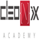 Cleonix Academy
